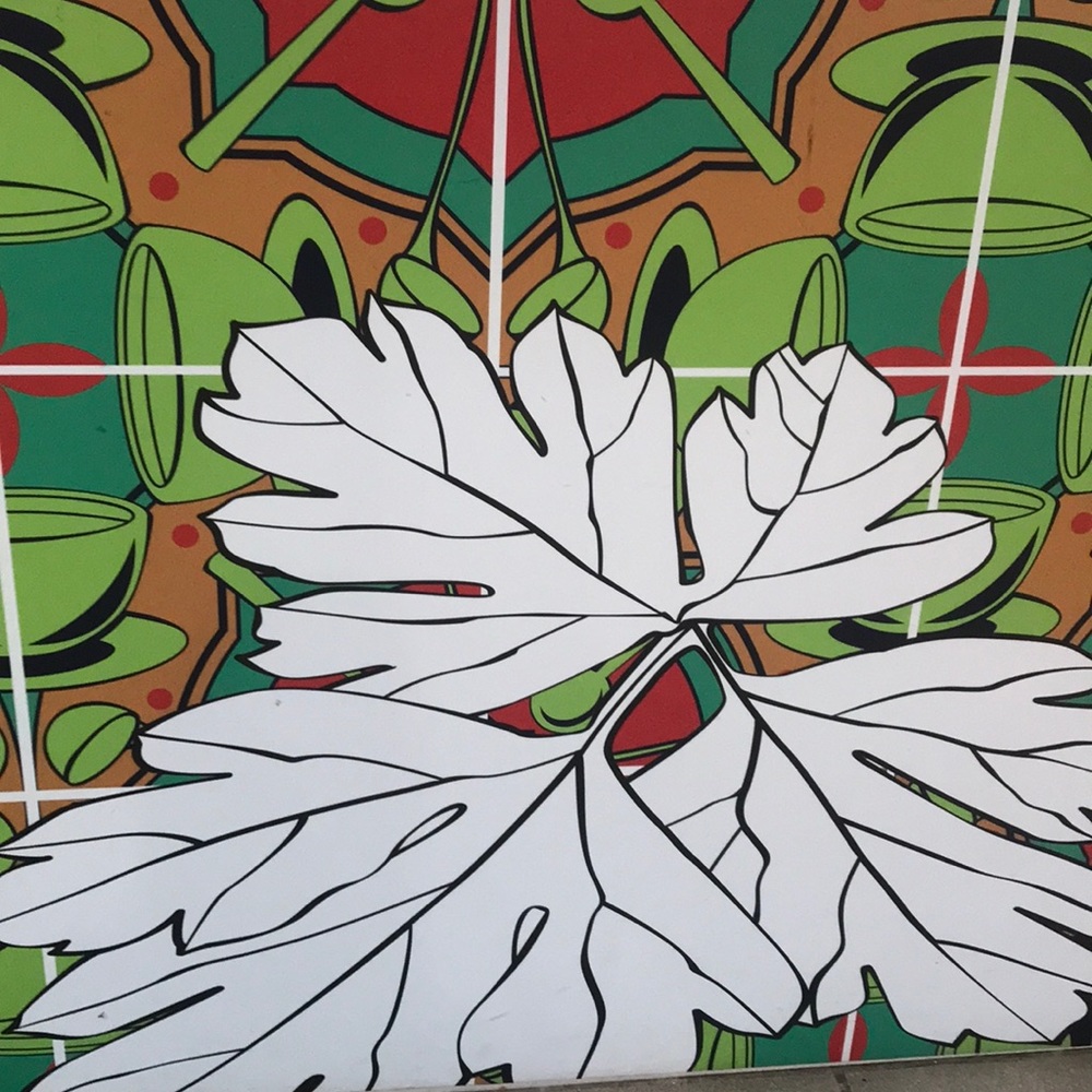 Meet your Posher, Adria m